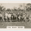 The Bush Derby.