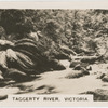 Taggerty River, Victoria.