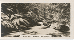Taggerty River, Victoria.