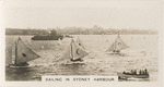 Sailing in Sydney Harbour.