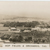 Hop Fields & Orchards, Tasmania.