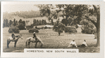 Homestead, New South Wales.