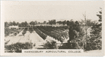 Hawkesbury Agricultural College.