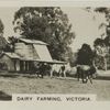 Dairy Farming, Victoria.