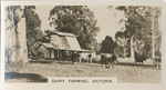 Dairy Farming, Victoria.