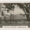 Cattle Station, Homestead.