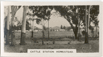 Cattle Station, Homestead.