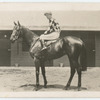 Spearfelt. Trainer V. O'Neill.