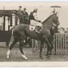 Bard of Avon. Trainer E.J. Riley.