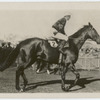Aorangi. Trainer P. Keith.