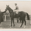 Limerick. Trainer  F.D. Jones.