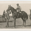 Bicolor. Trainer J. Carey.