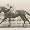 Silvius. Trainer H. Butler.