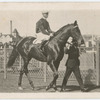 Fuji San. Trainer M. Polson.