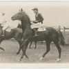 Vaals. Trainer F. Williams.