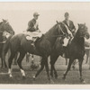 Textile. Trainer J. O'Dwyer.