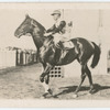 Windbag. Trainer G. Price.