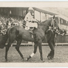 Royal Charter. Trainer J. Holt.
