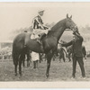 Pantheon. Trainer F. Williams.