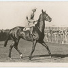 Pilliewinkie. Trainer J. Scobie.