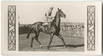 Pilliewinkie. Trainer J. Scobie.