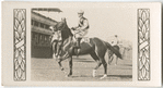 Heroic. Trainer J. Holt.