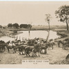 On a North Coast farm.