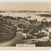 Botanical Gardens and harbour, Sydney.