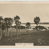 Tuncurry, from Forster.