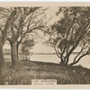 Lake Wendouree, Ballarat, Victoria.