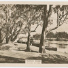 River Murray, Mildura, Victoria.
