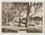 River Murray, Mildura, Victoria.