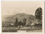 Mount Bogong, Towanga, Victoria.