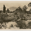 Acheron River, Alexandra, Victoria.