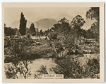 Acheron River, Alexandra, Victoria.