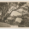 Mitchell River, Bairnsdale, Victoria.