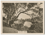 Mitchell River, Bairnsdale, Victoria.