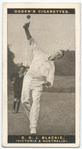 D.D.J. Blackie (Victoria & Australia).