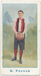 D. Feehan.