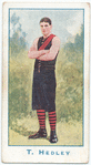 T. Hedley.