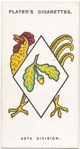 40th Division.