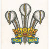 53rd (Welsh) Division.