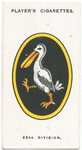 62nd (West Riding) Division.