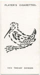 14th (Indian) Division