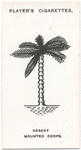 The Desert Mounted Corps.