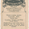 Heteronympha Banksi.
