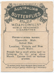 Heteronympha Banksi.
