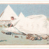 Pitching Tents.