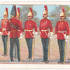 Presentation of Long Service Medals.