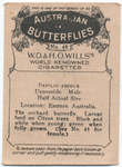 Papilio Aegeus.